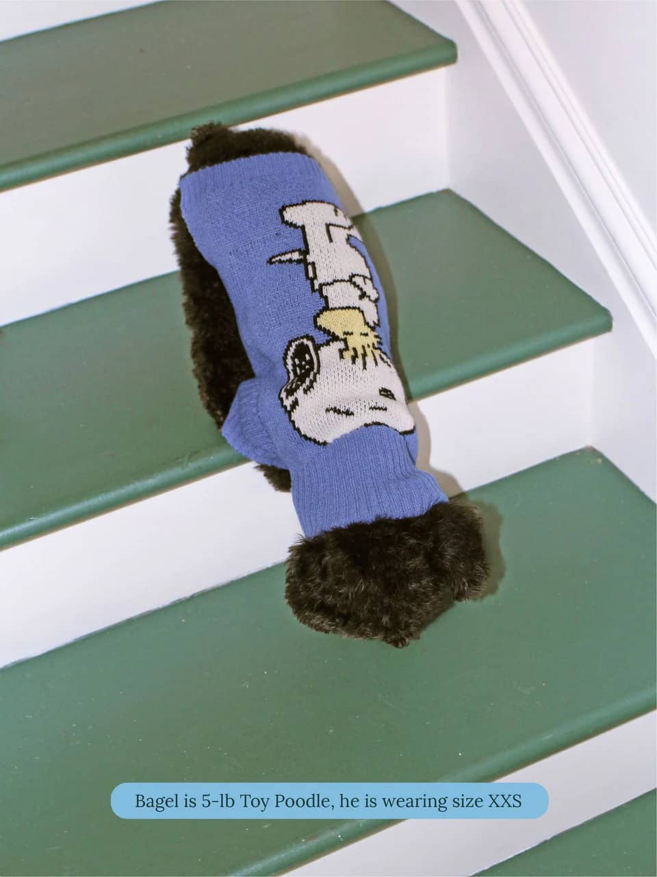 A Snoopy Sweater - PEANUTS