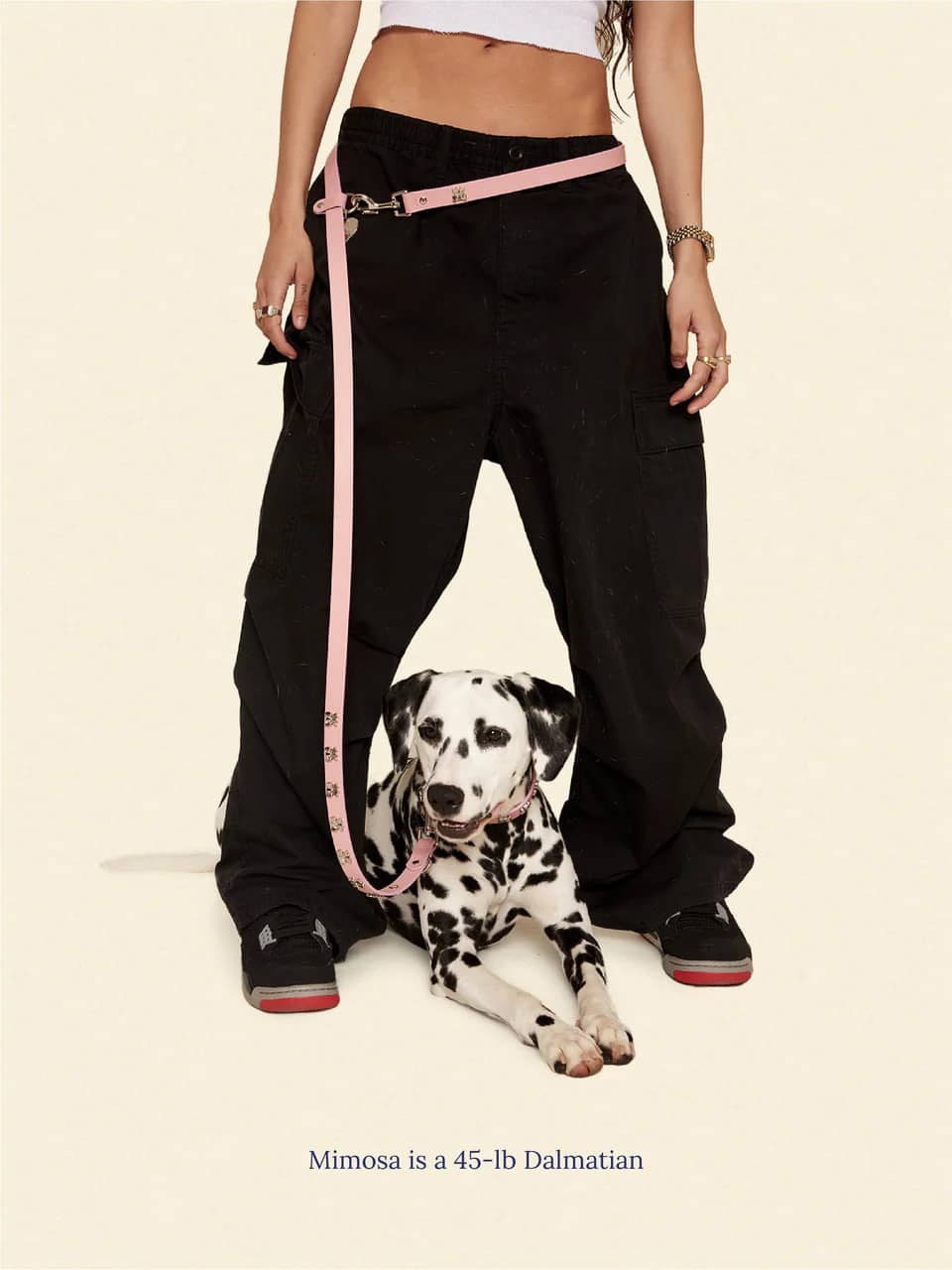 Audrey Leash π - Ian Charms