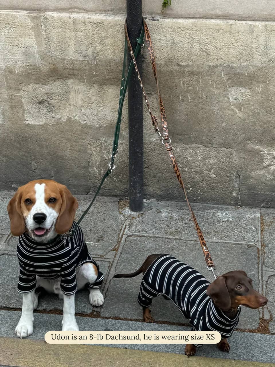 Midnight in Paris Onesie