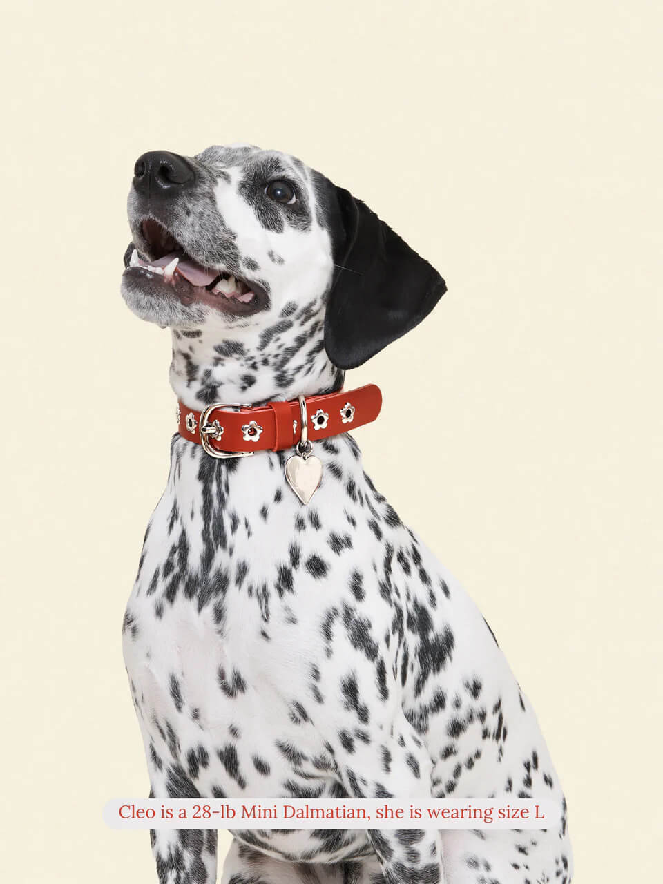 Ruby - Flower Power Collar