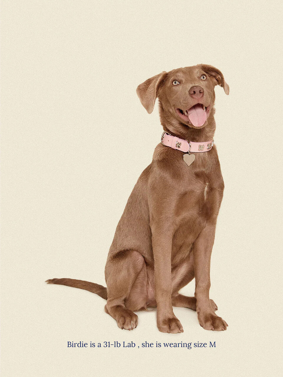 Audrey Collar π - Ian Charms