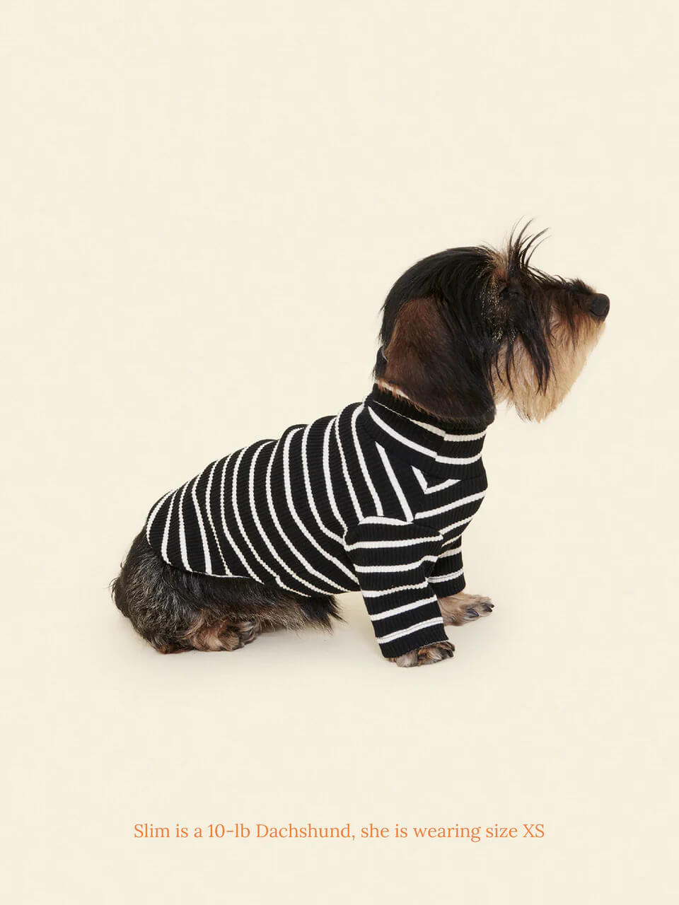 Café in Paris Sweatshirt
