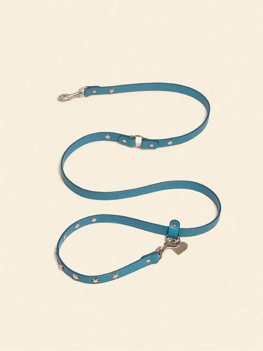 Cowboy Leash - Aqua