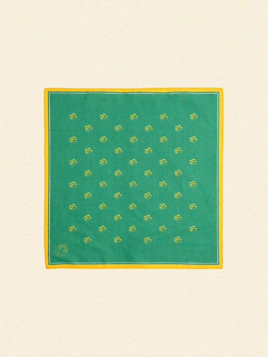 Boston Celtics Bandana