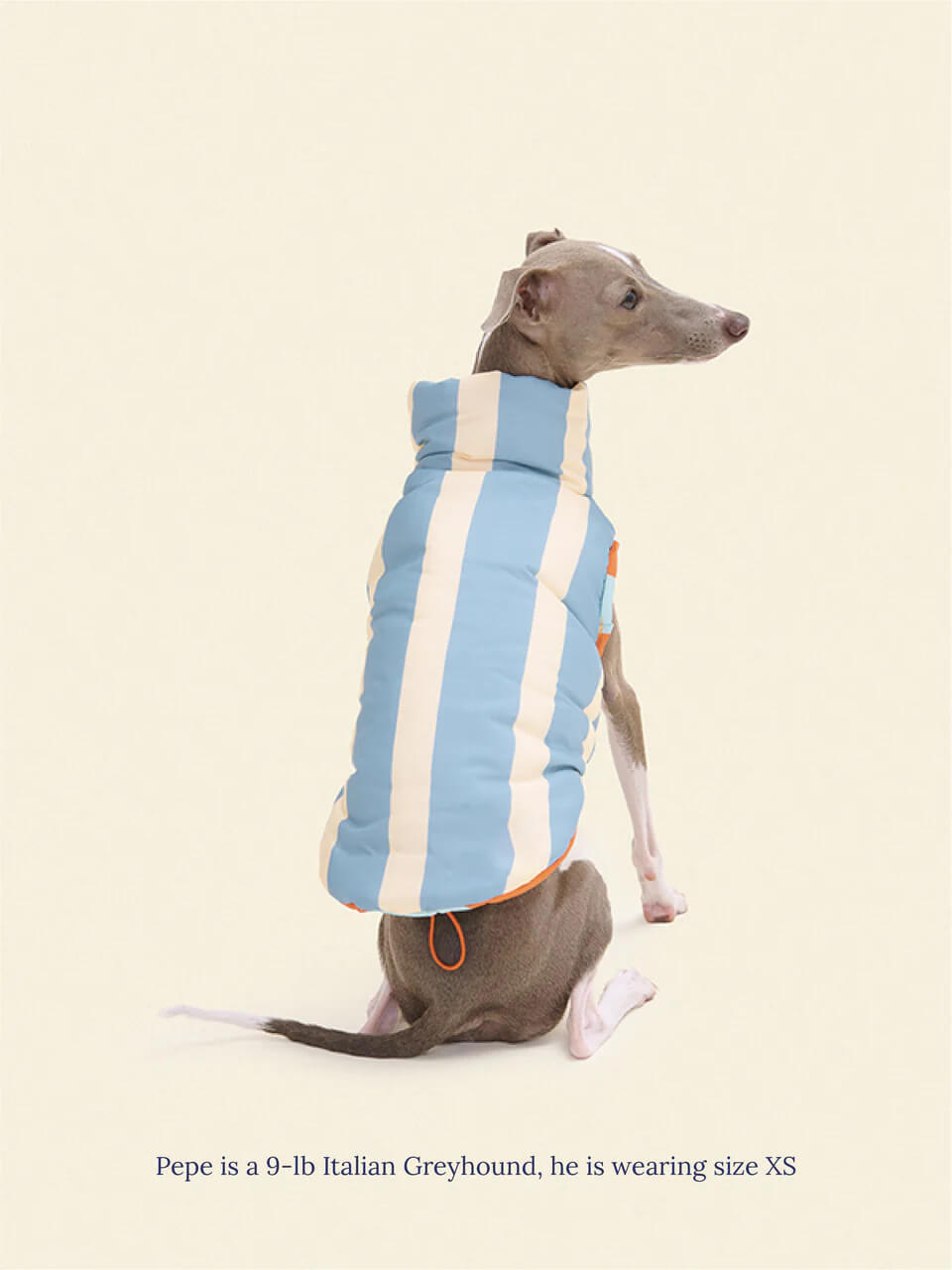 The Orange Peel Parka Vest - Dusen Dusen