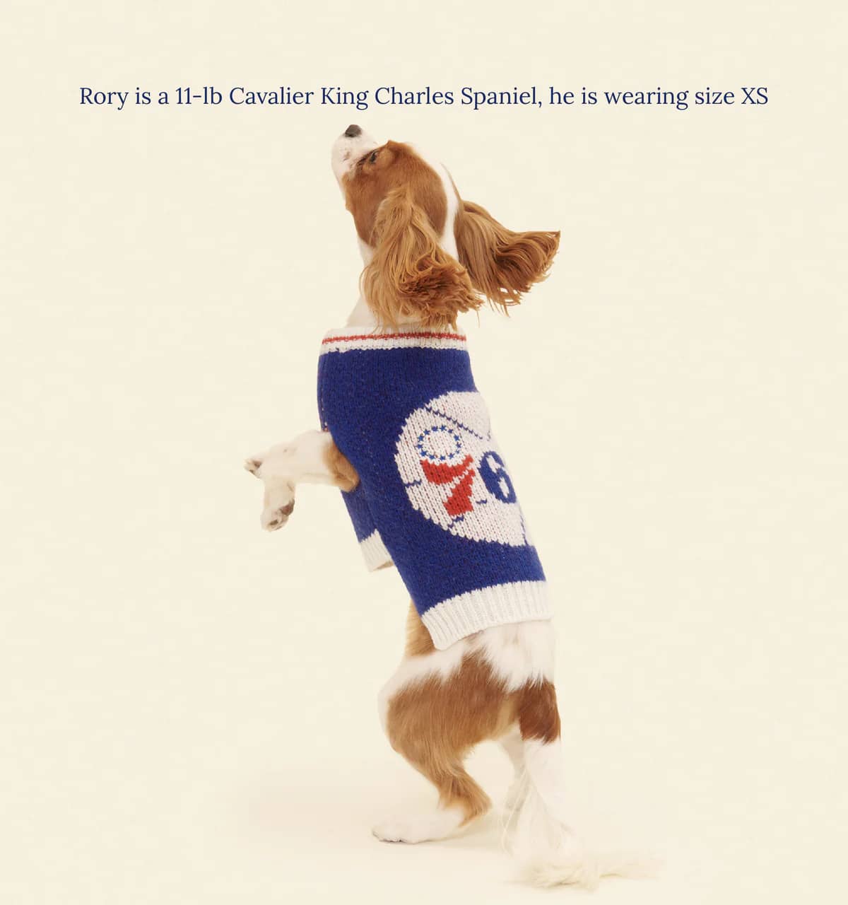 Philadelphia Sixers Dog Sweater