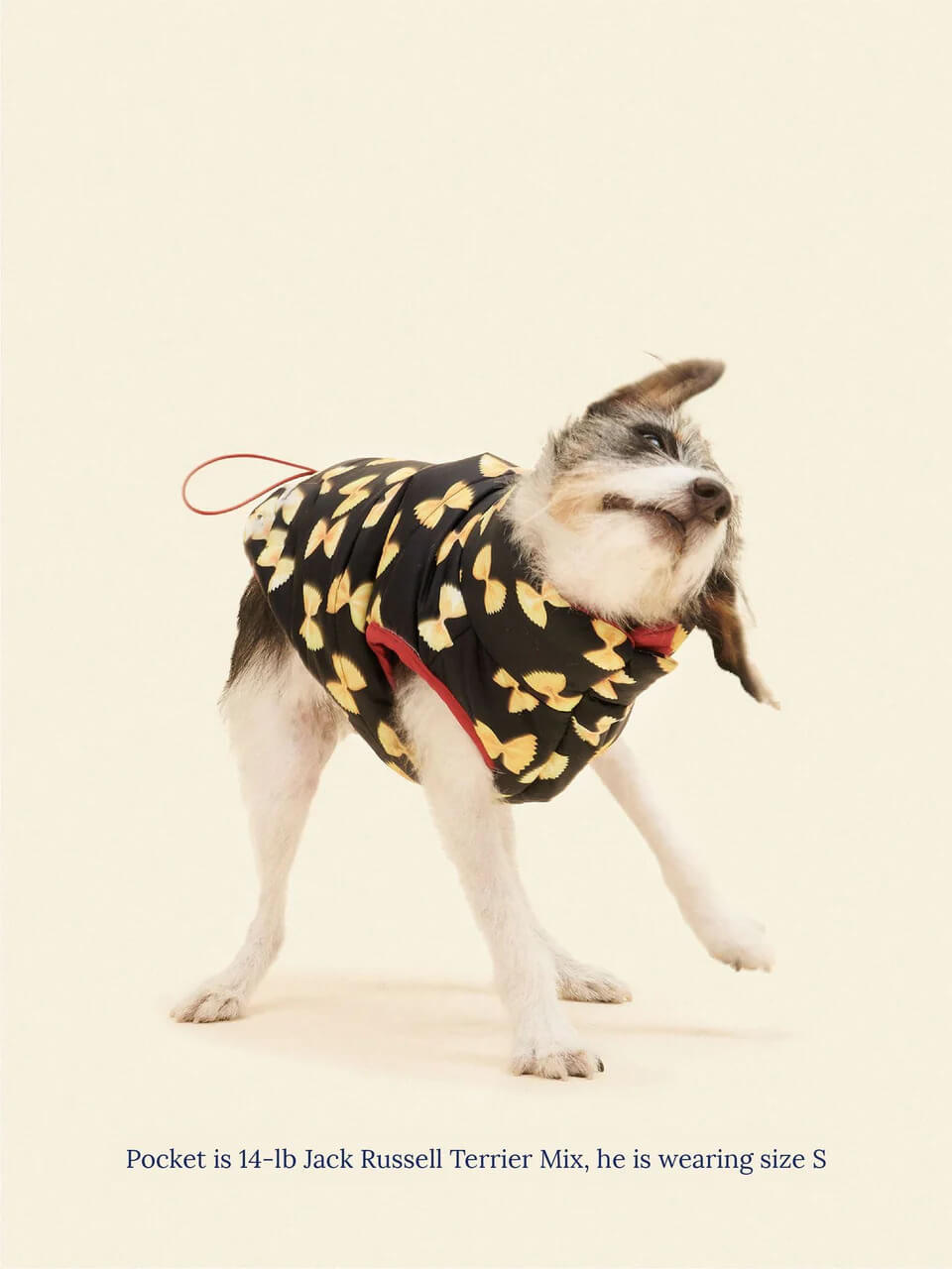 Farfalle Puffer Jacket - Rachel Antonoff