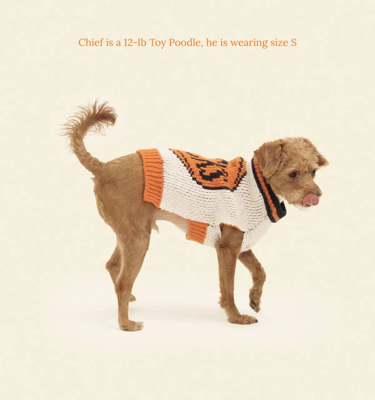 New York Knicks Dog Sweater