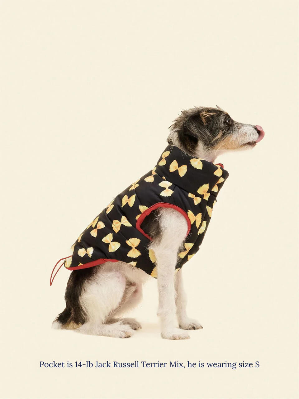Farfalle Puffer Jacket - Rachel Antonoff