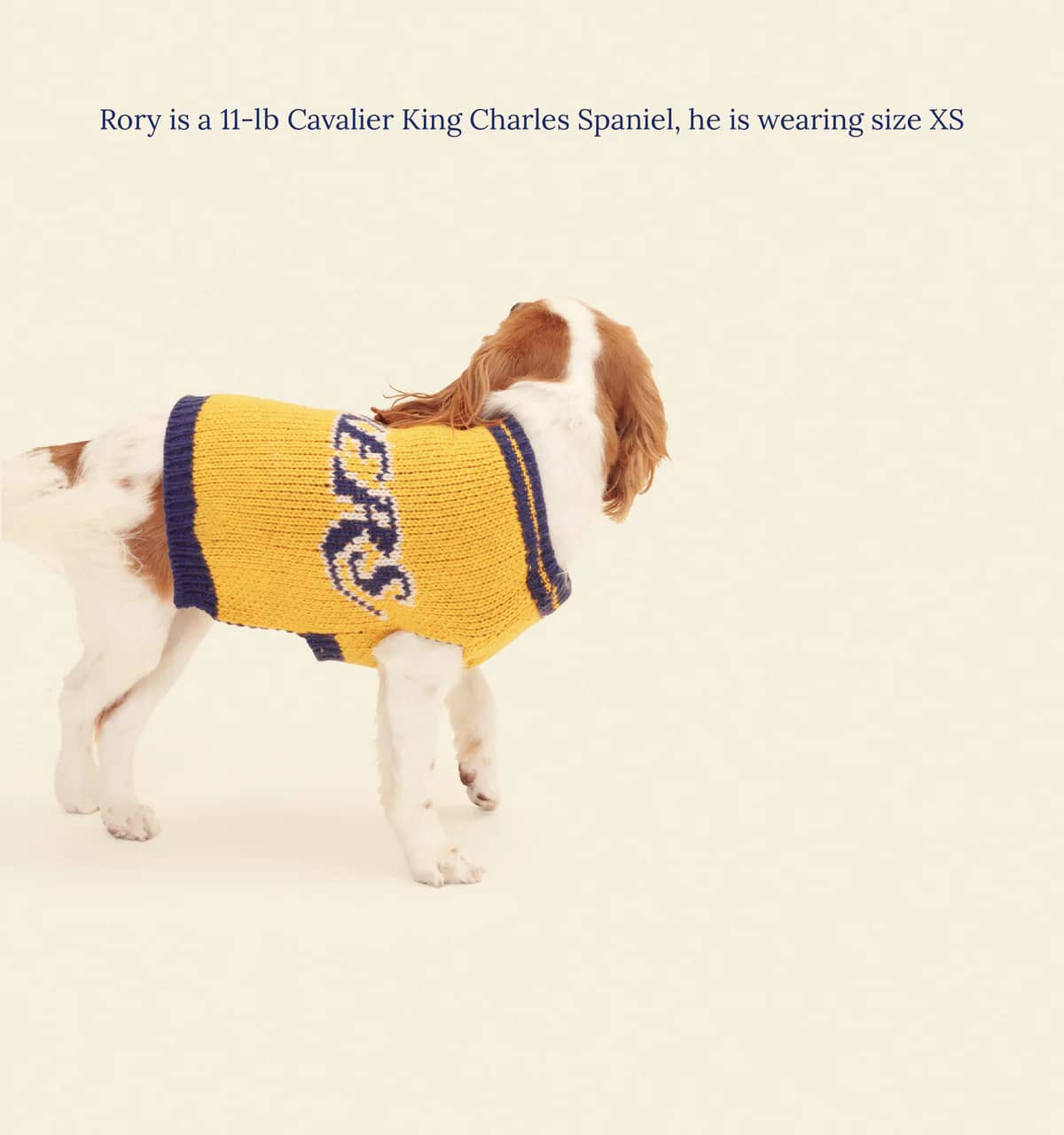 Los Angeles Lakers Dog Sweater