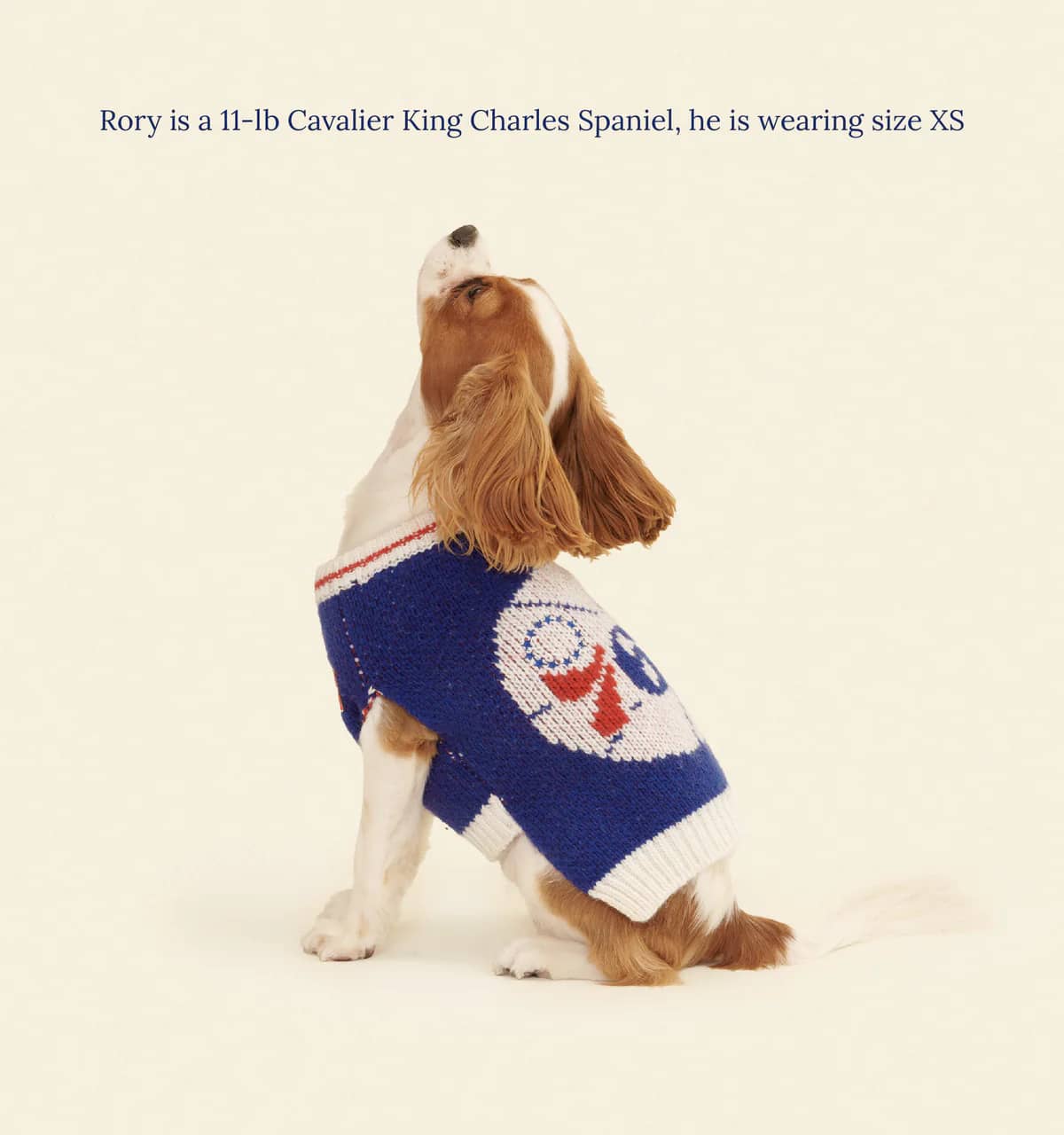 Philadelphia Sixers Dog Sweater