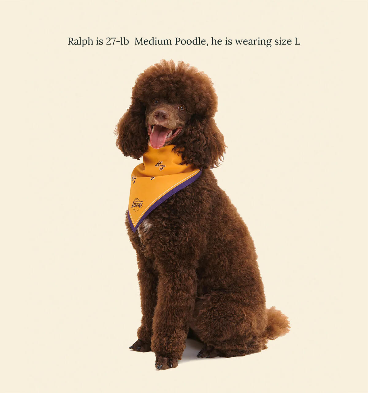 Los Angeles Lakers Bandana