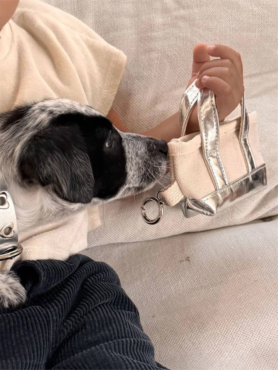 Poop Bag Tote - Silver