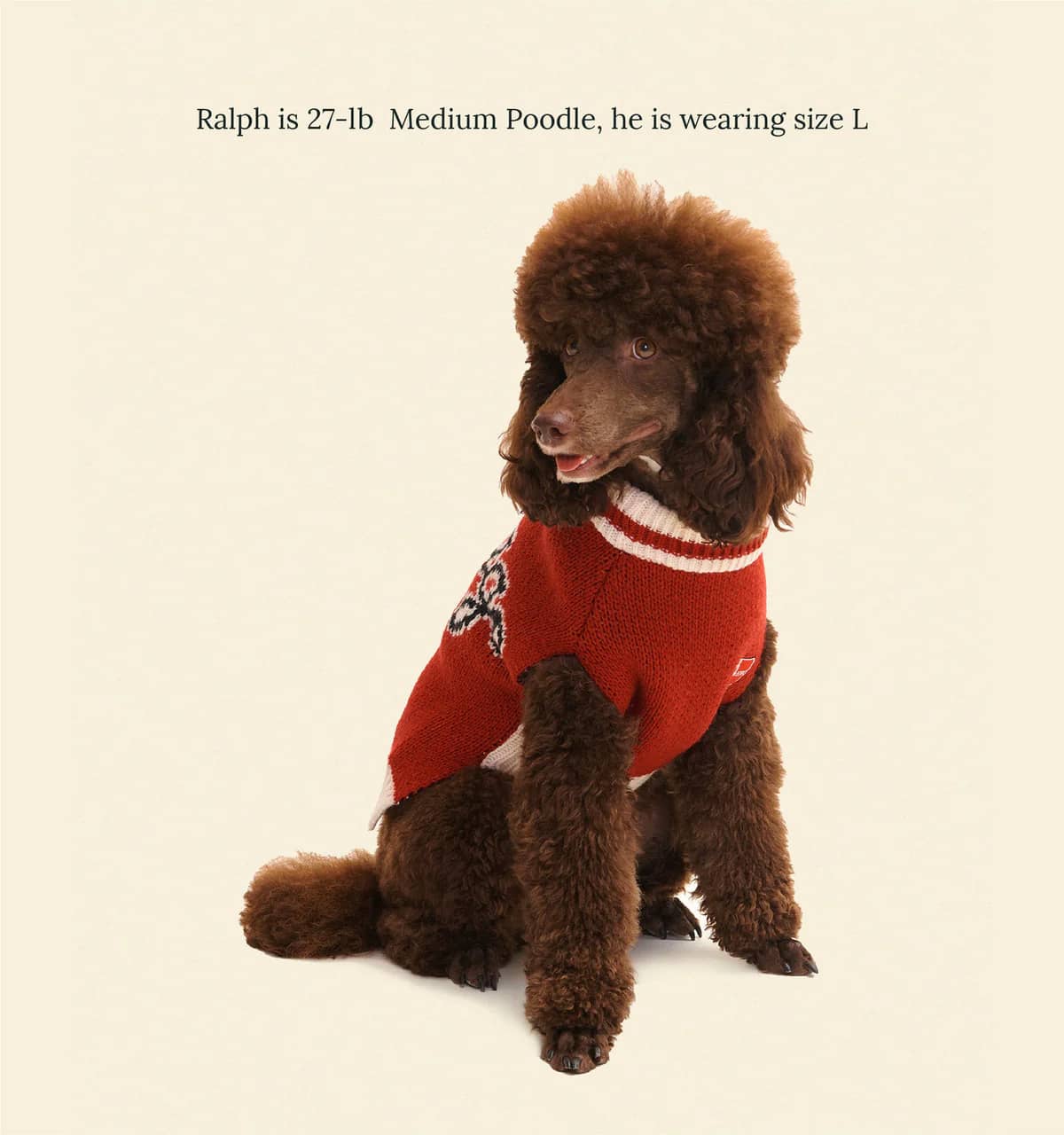 Chicago Bulls Dog Sweater
