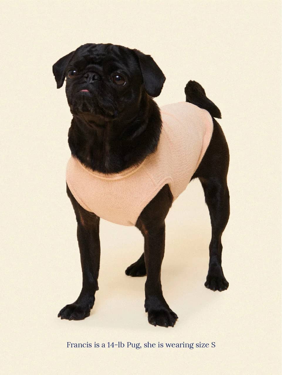 ADEDAS Sleeveless Shirt - Beige