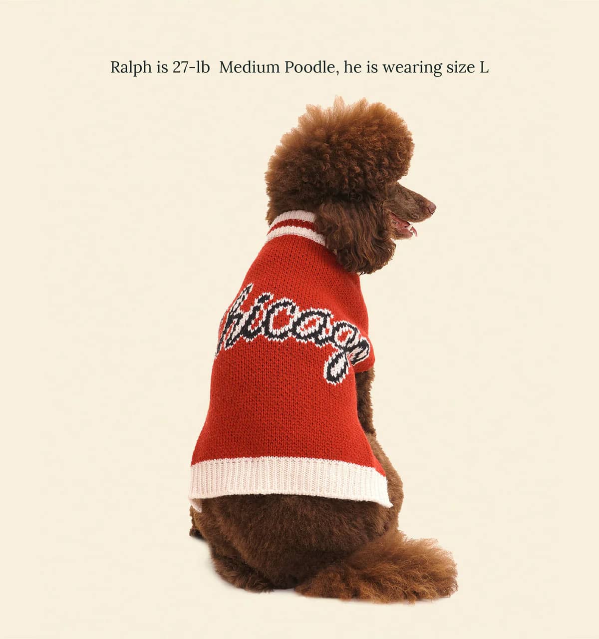 Chicago Bulls Dog Sweater