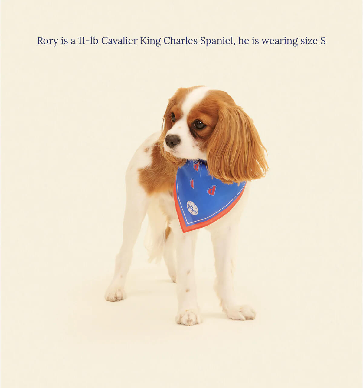 Philadelphia Sixers Bandana