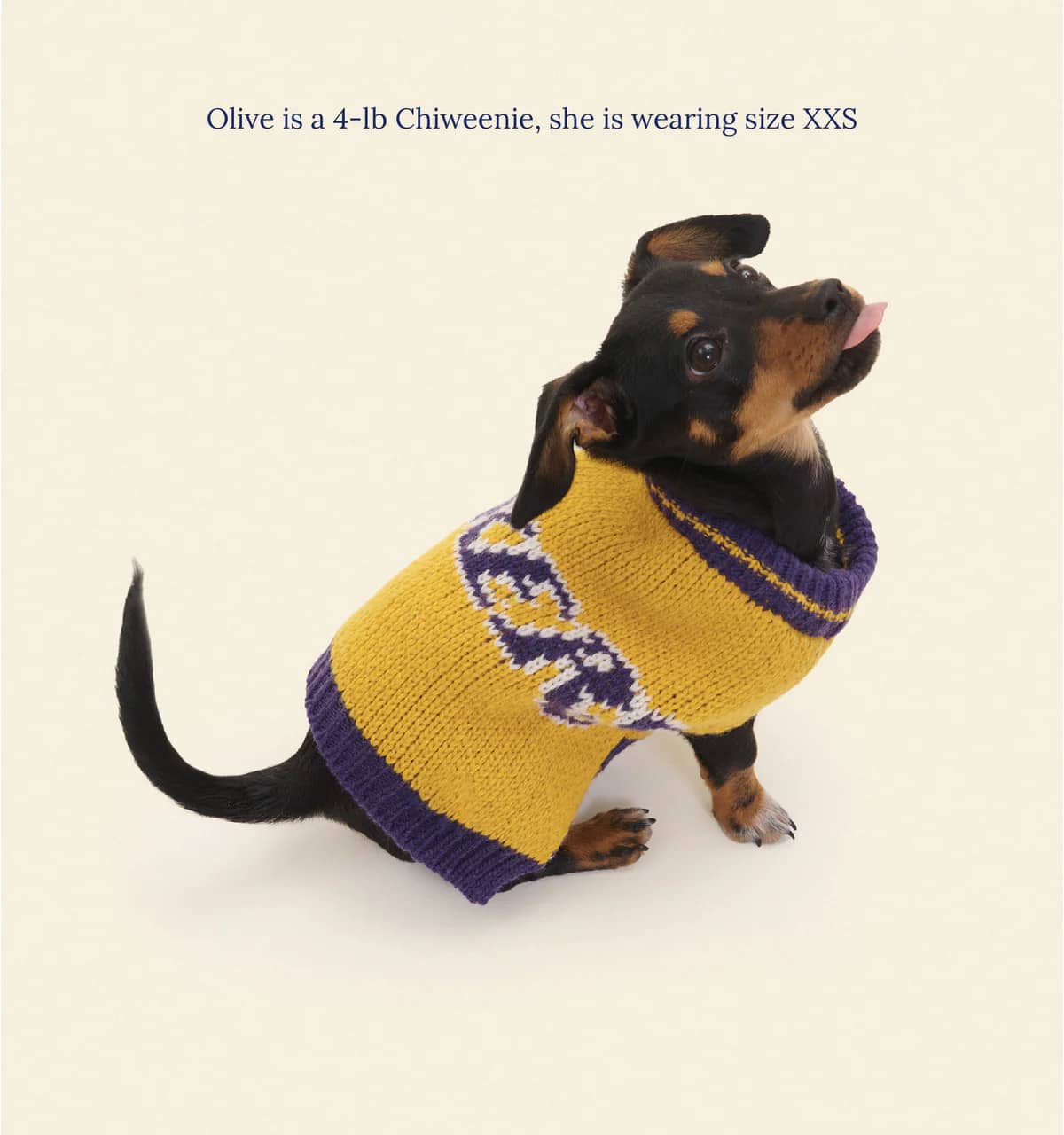 Los Angeles Lakers Dog Sweater