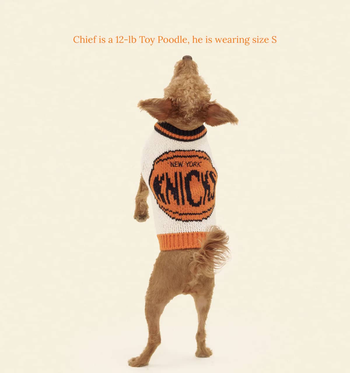New York Knicks Dog Sweater