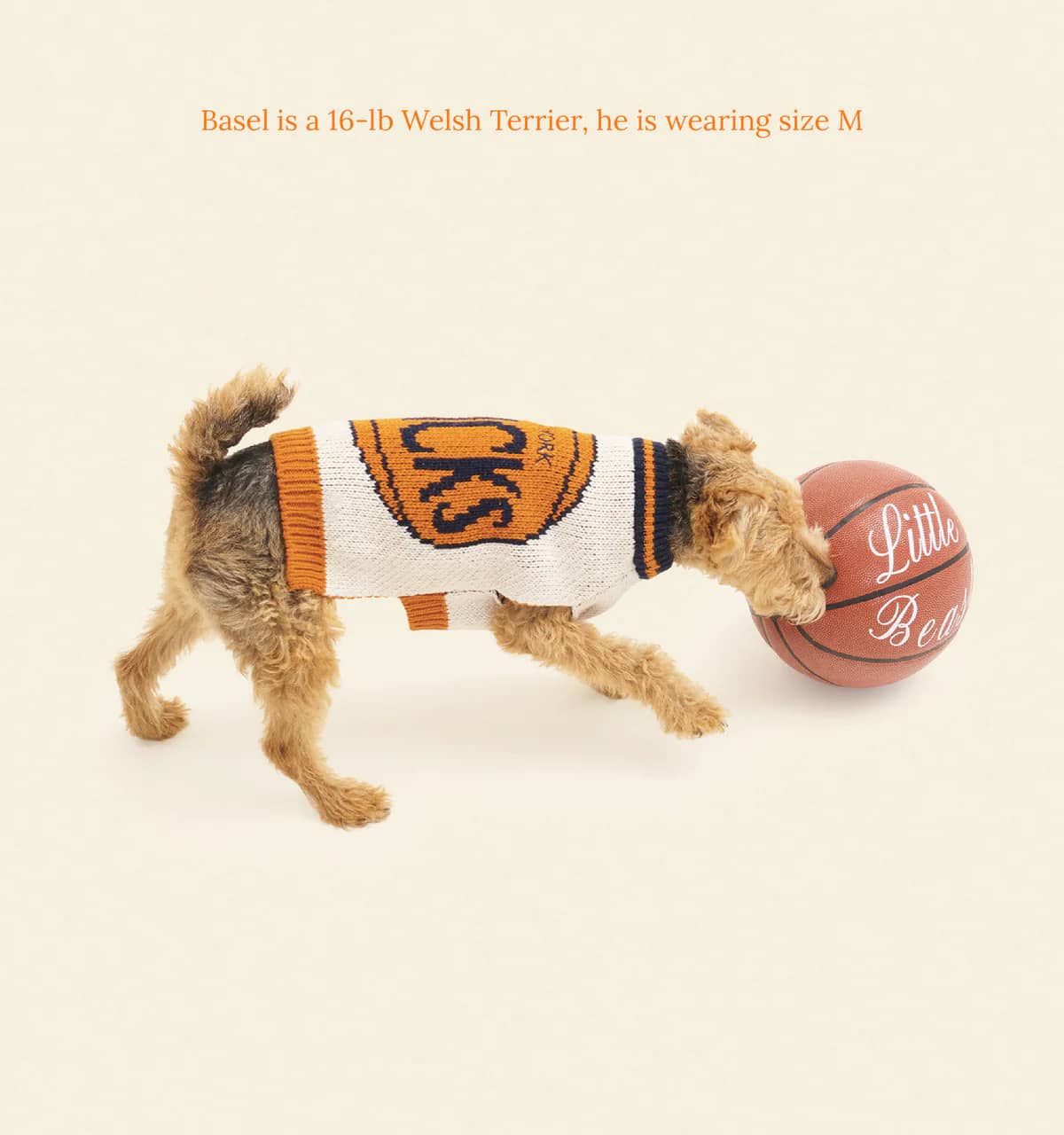 New York Knicks Dog Sweater