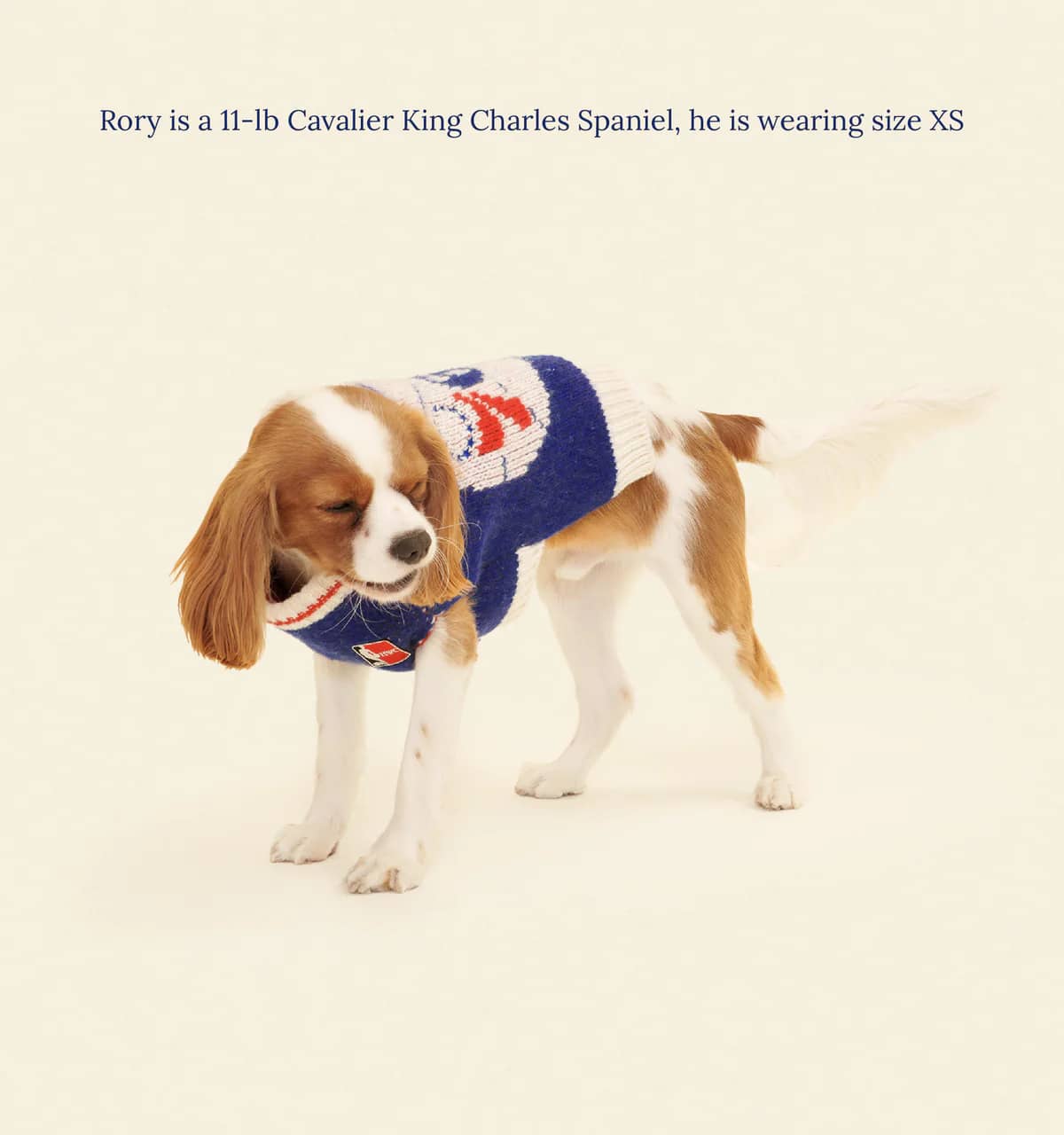 Philadelphia Sixers Dog Sweater