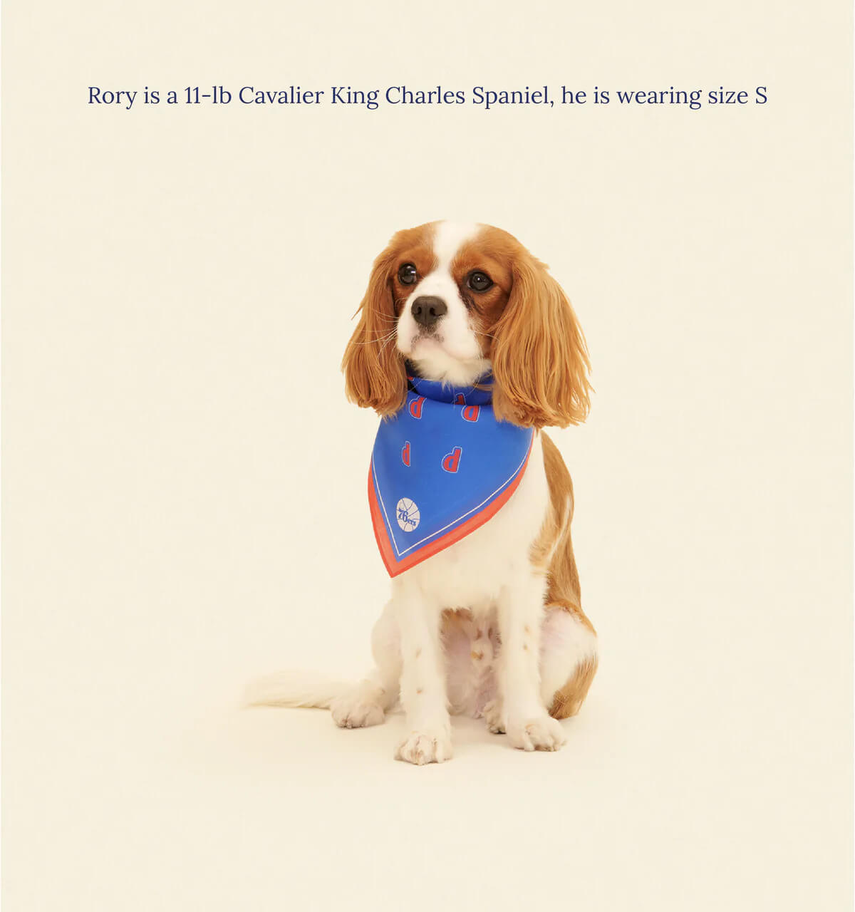Philadelphia Sixers Bandana