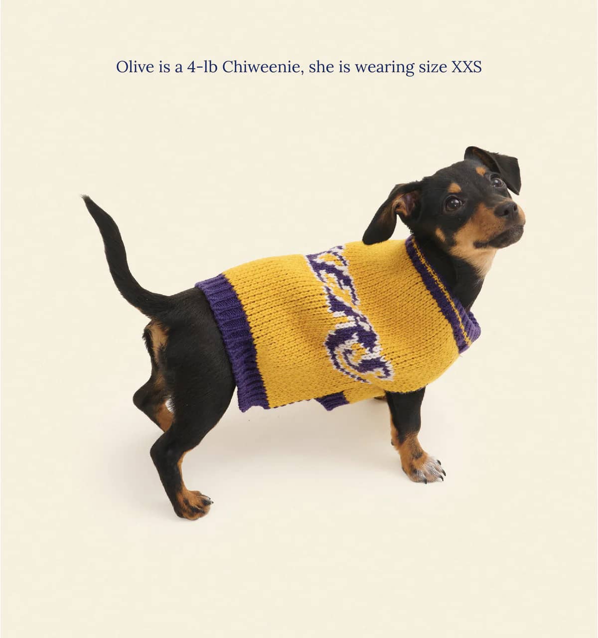 Los Angeles Lakers Dog Sweater