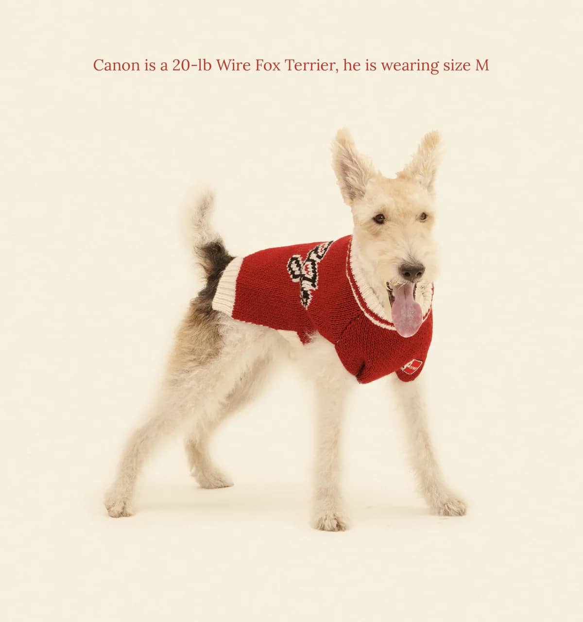 Chicago Bulls Dog Sweater
