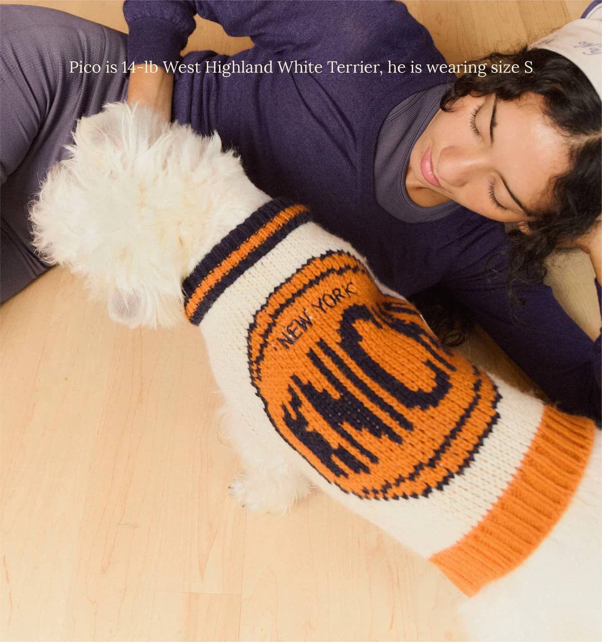 New York Knicks Dog Sweater