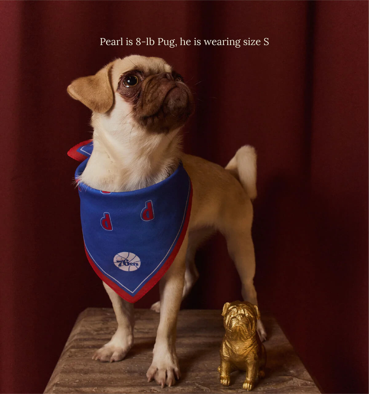 Philadelphia Sixers Bandana