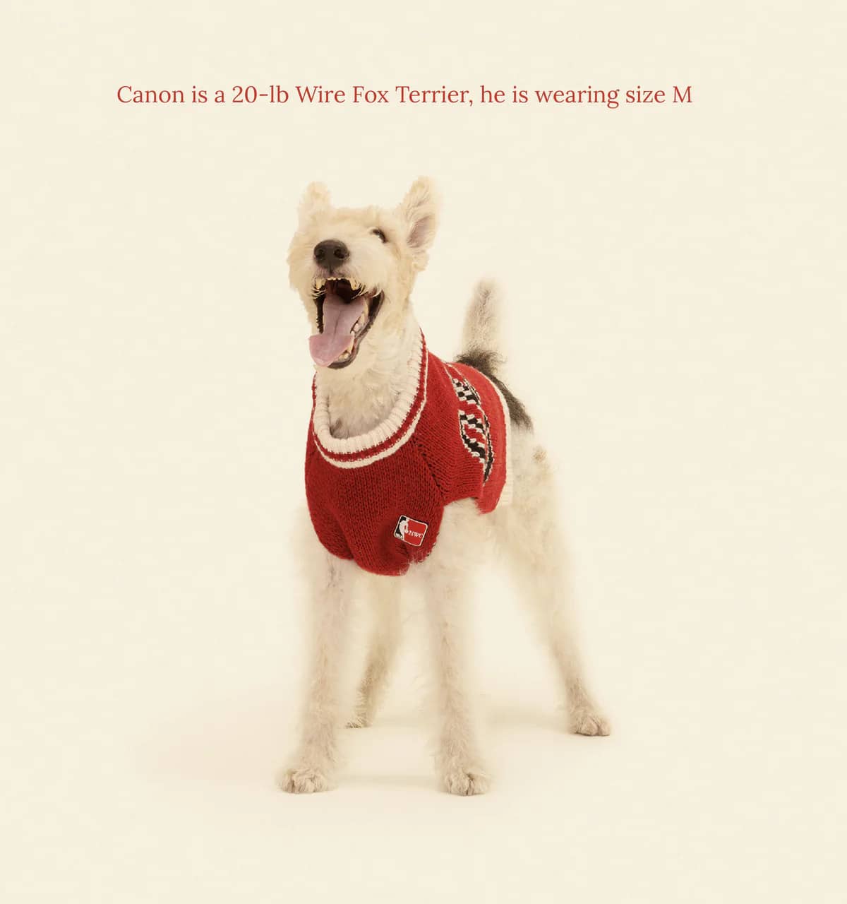 Chicago Bulls Dog Sweater