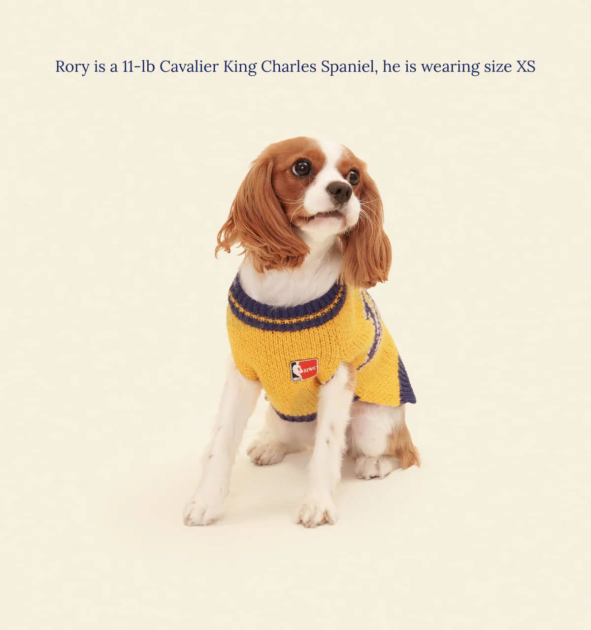 Los Angeles Lakers Dog Sweater
