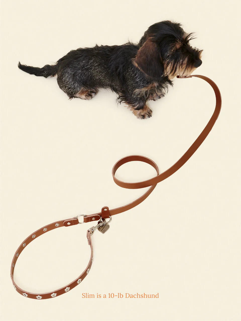 Hazel - Flower Power Leash