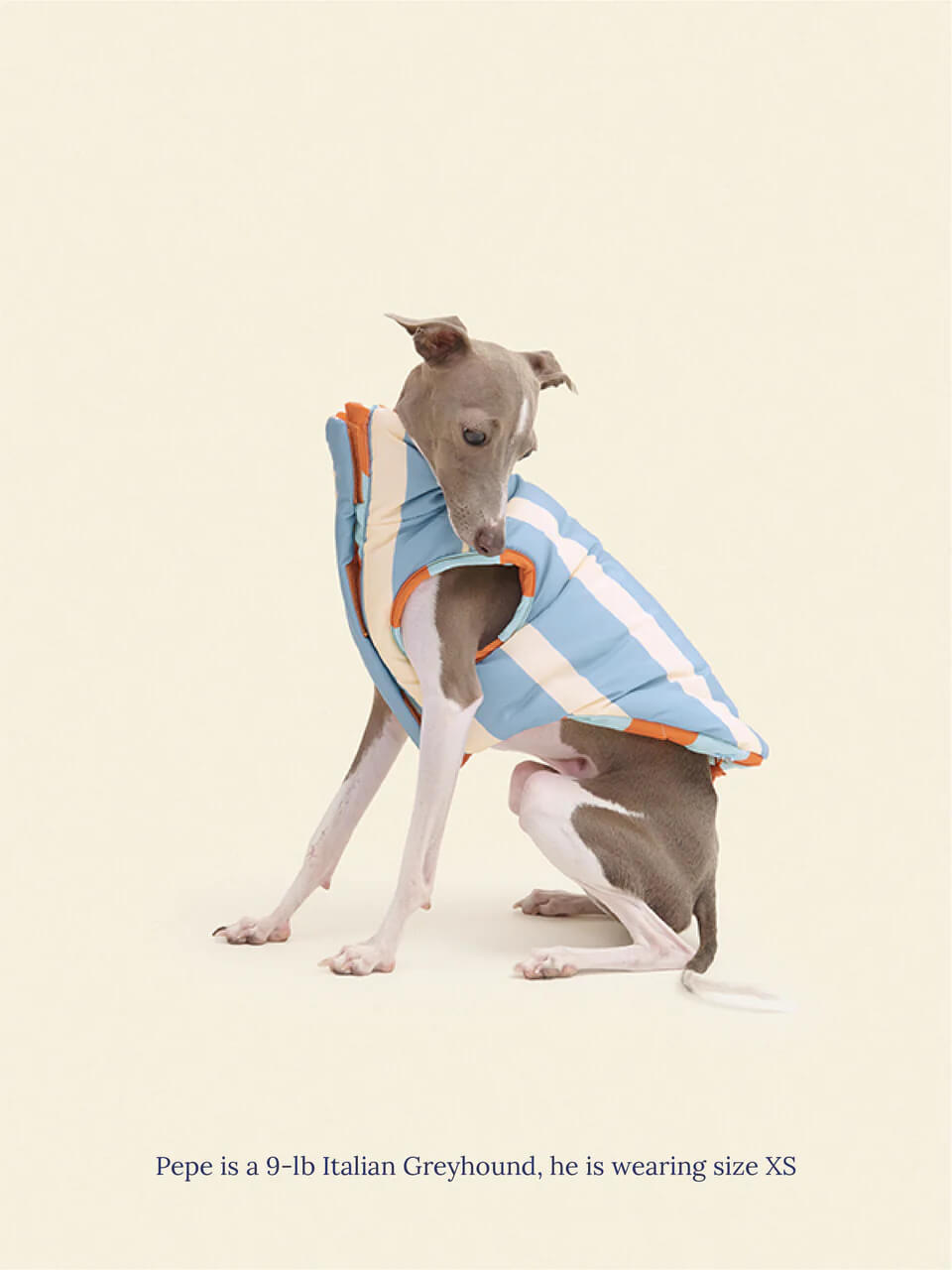 The Orange Peel Parka Vest - Dusen Dusen