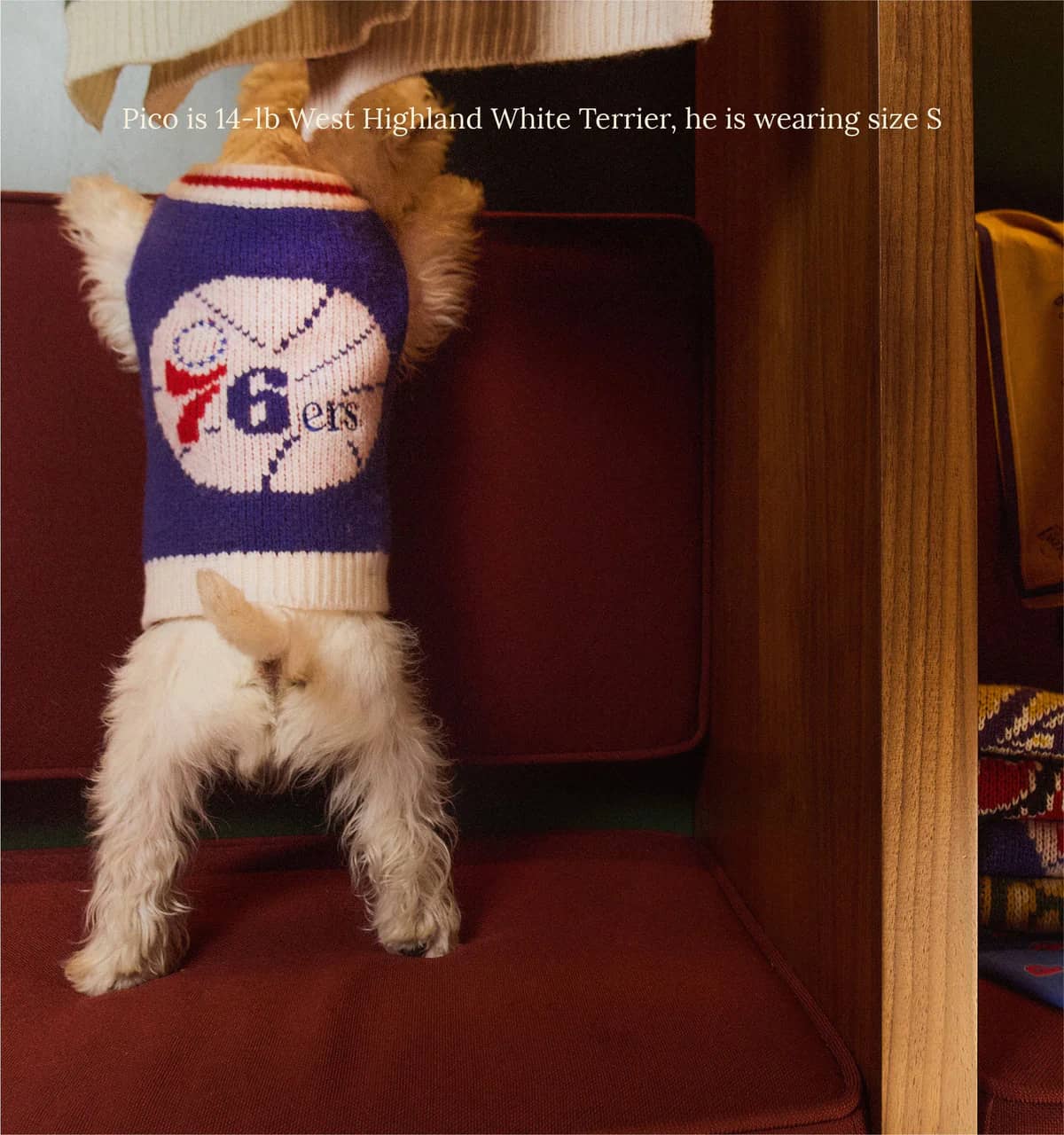 Philadelphia Sixers Dog Sweater