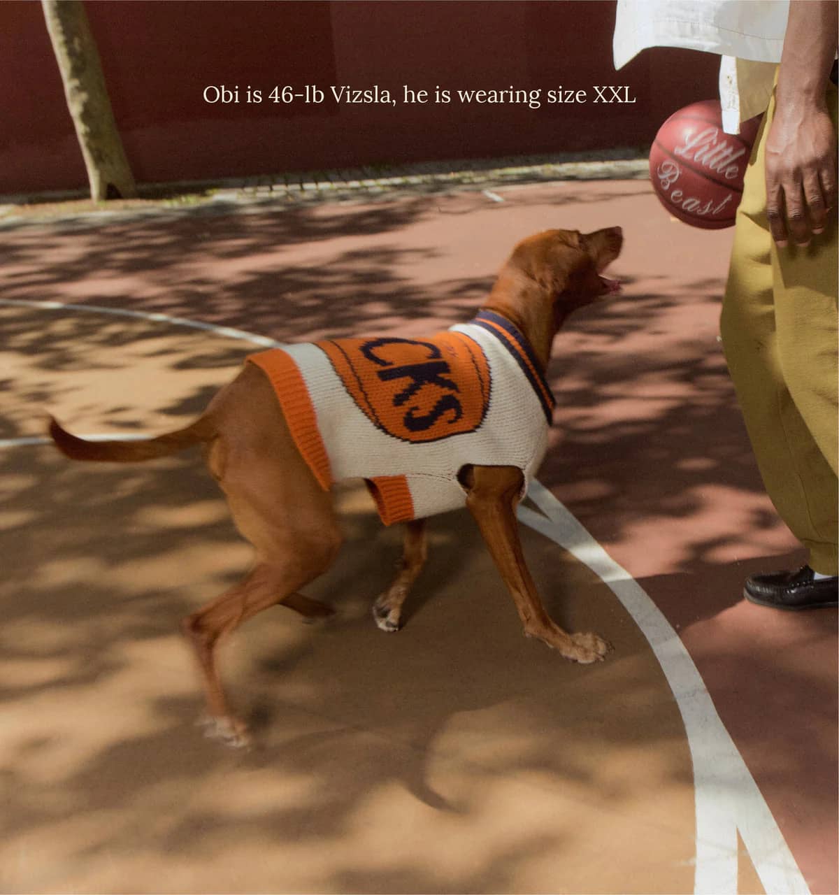 New York Knicks Dog Sweater