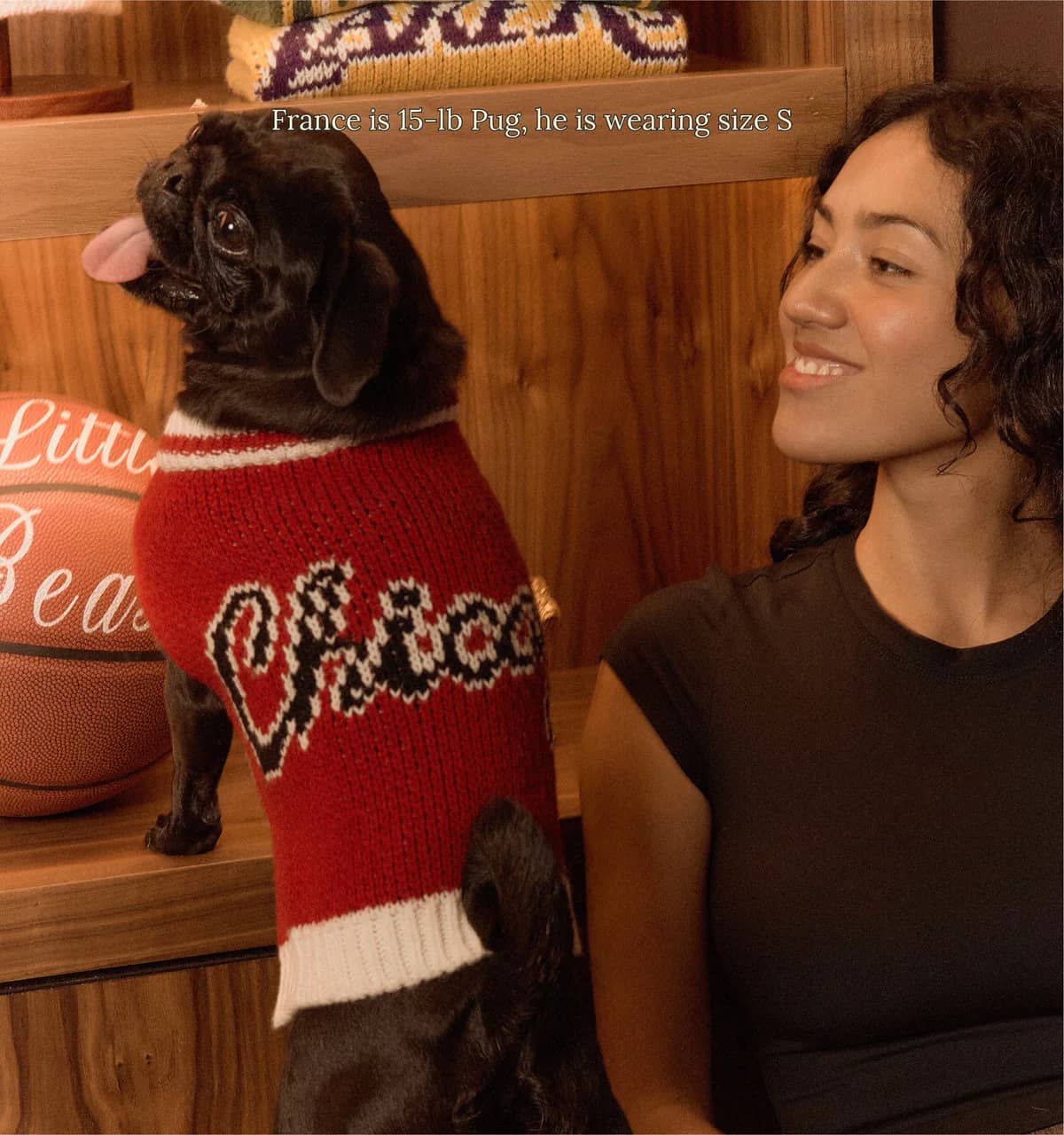 Chicago Bulls Dog Sweater