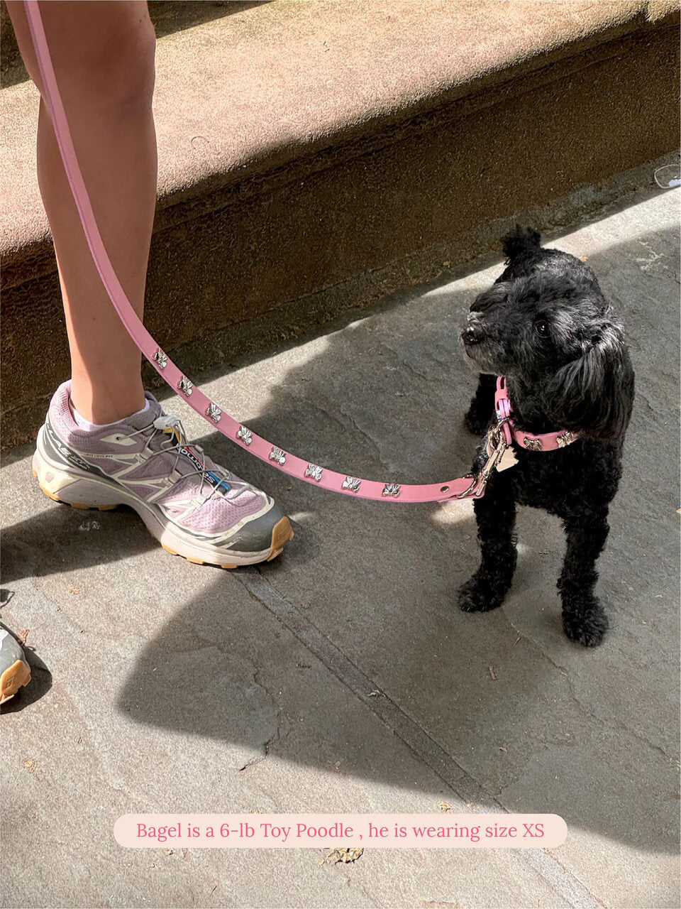 Audrey Collar 🎀 - Ian Charms