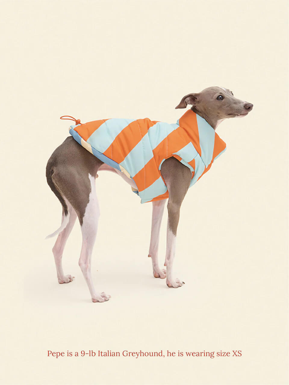 The Orange Peel Parka Vest - Dusen Dusen
