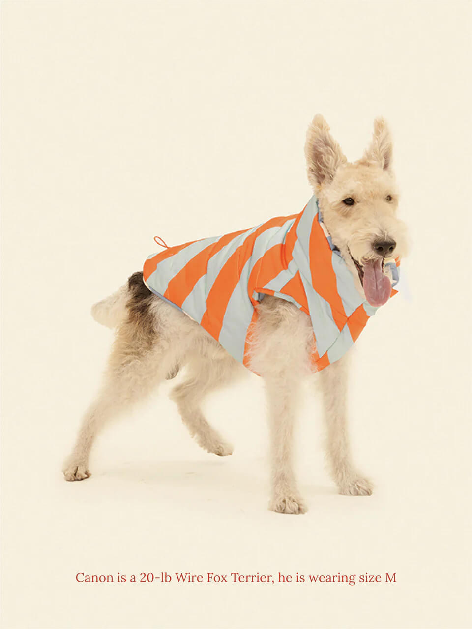 The Orange Peel Parka Vest - Dusen Dusen