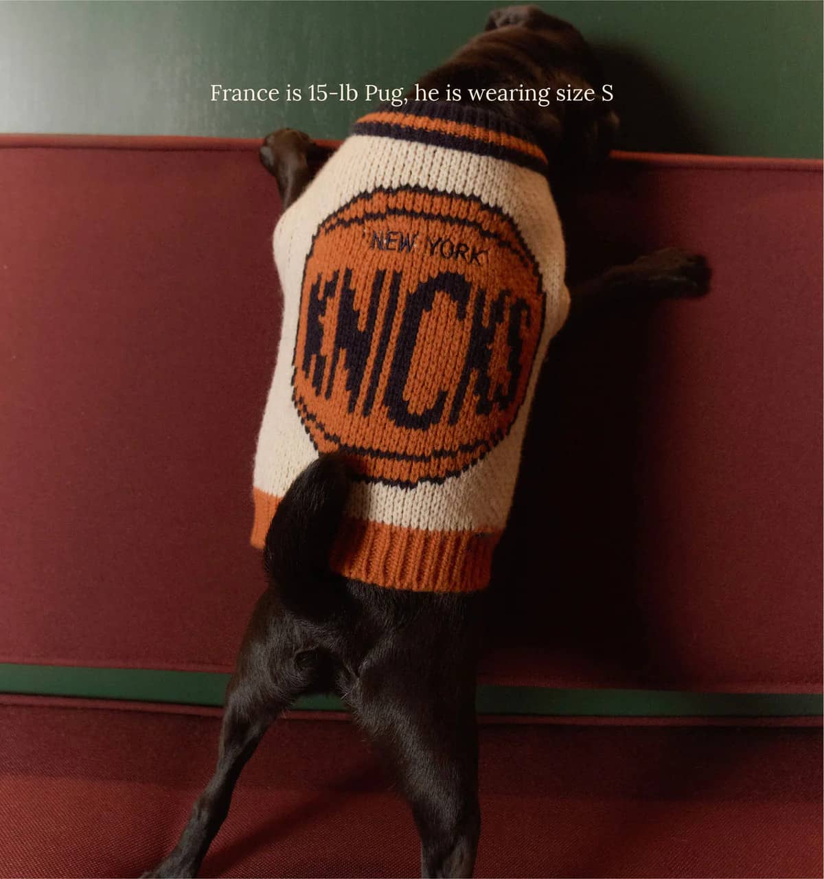 New York Knicks Dog Sweater