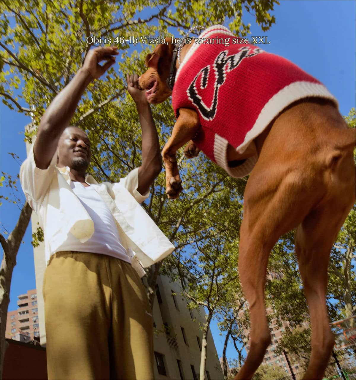 Chicago Bulls Dog Sweater