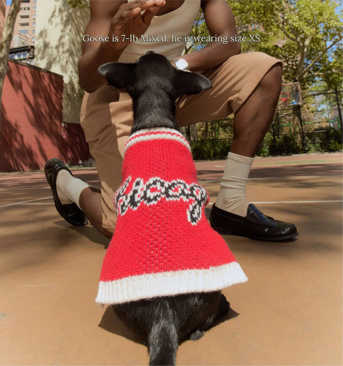 Chicago Bulls Dog Sweater
